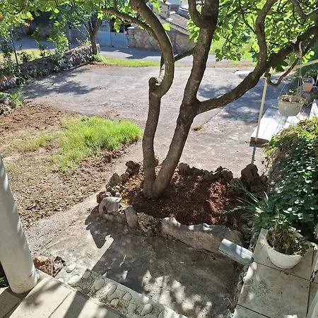 Renchy Apartament Seline